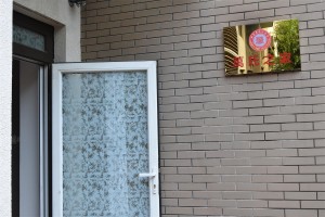照片 008