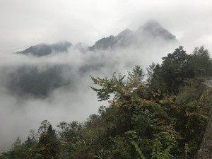 微信图片_20181019202746