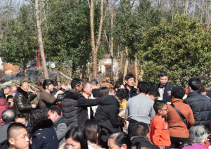 QQ截图20190125210804