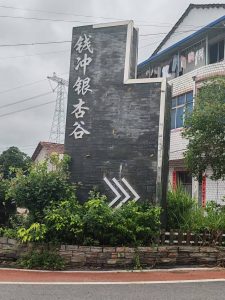 枣阳“生杨死万”与安陆王义贞万家塆